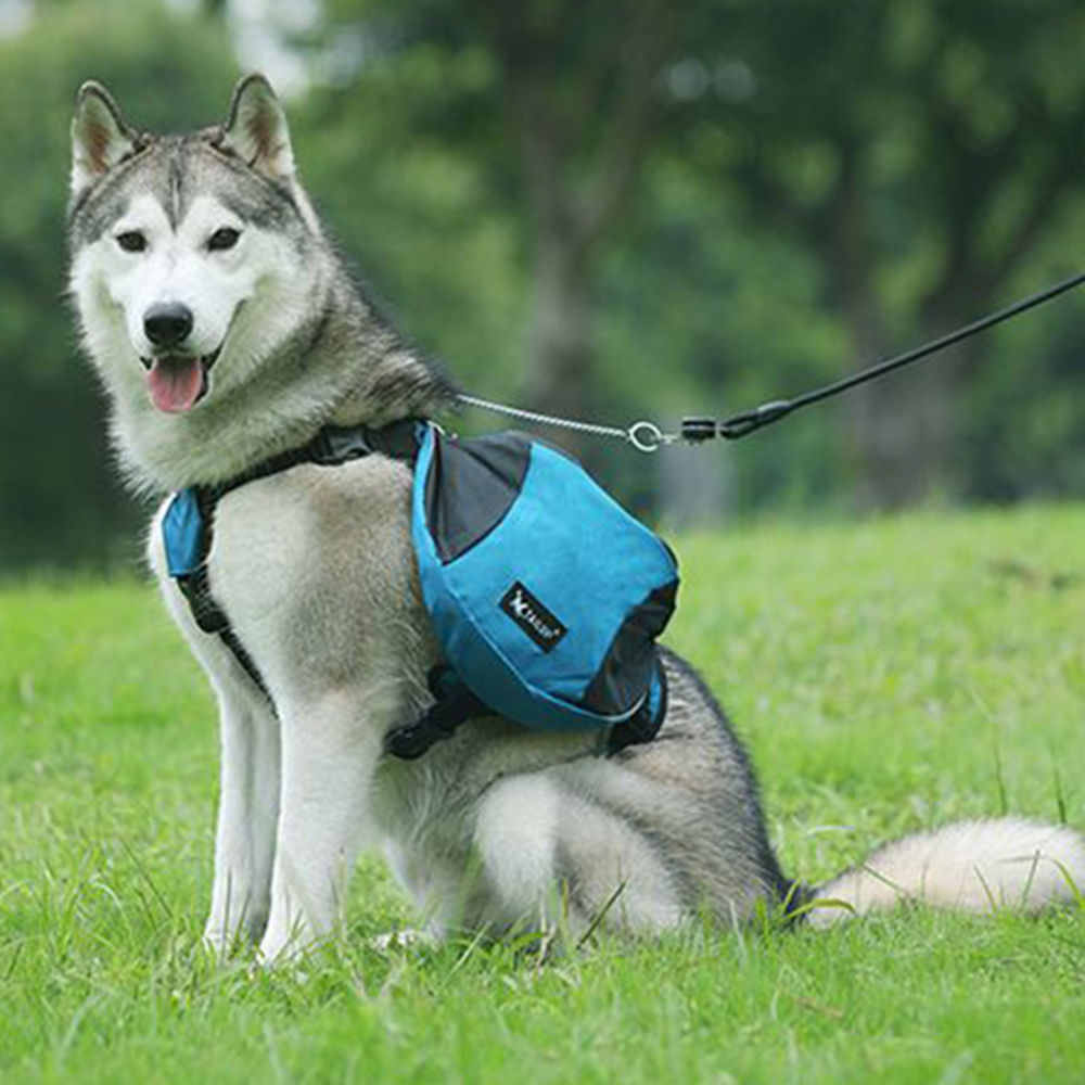 Köpek Ağırlık Antrenmanı Sırt  - Crossfit Weight Vest incelemesi ve fiyatı